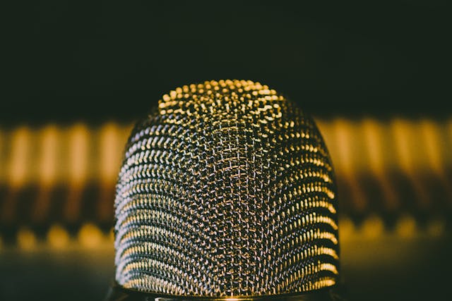 张弛声音训练营：声音训练领域的市场行情分